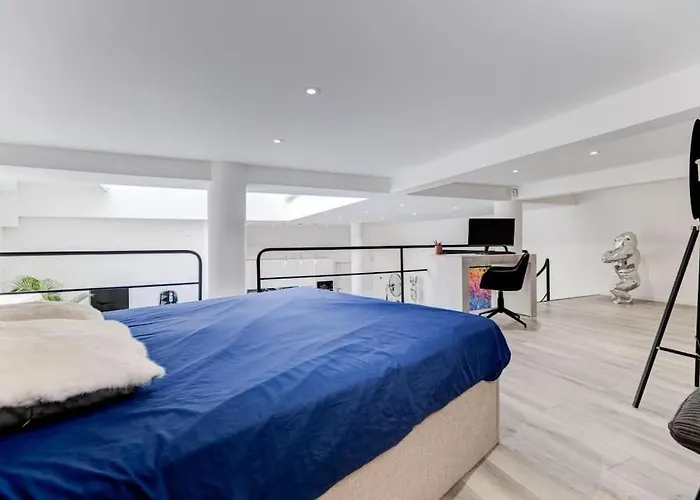 Magnifique Loft Au Coeur De Nice