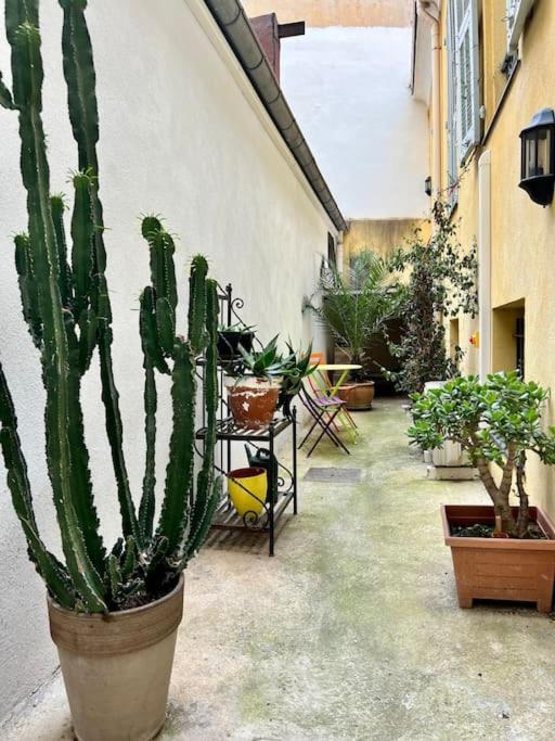 Appartement Magnifique Loft Au Coeur De Nice